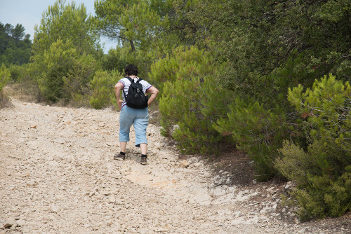 janoub sentier